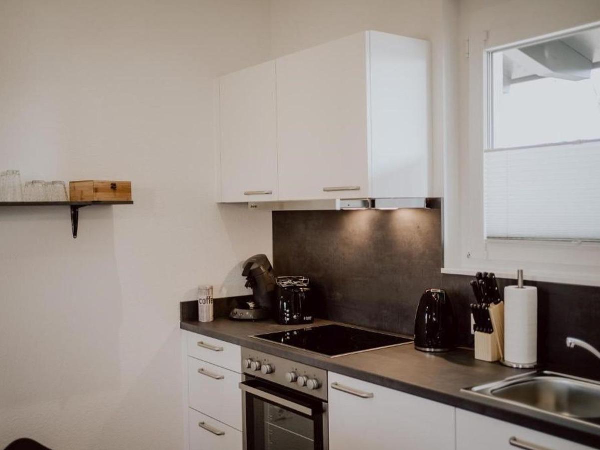Apartament Rheinzeit-Weisweil Weisweil  Zewnętrze zdjęcie